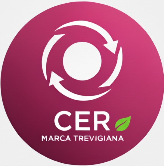 logo Cer